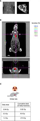 Molecular Changes In Cardiac Tissue As A New Marker To Predict Cardiac Dysfunction Induced By Radiotherapy